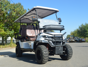 Voiture de golf électrique haute performance 6 places homologuée pour la route rose pour les parcs pittoresques Prise en charge de diverses personnalisations - Product Image 4