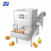 Industriële mango-perzik-sinaasappel-citroen-persimmon-appel automatische fruitenschiller ananas-schilmachine