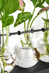 Nieuwe Plant Propagatie Stations Terrarium Met Hout Terrarium Stand 3 Glas Plantenbakken Air Plant Houder Voor Indoor Huis Planten