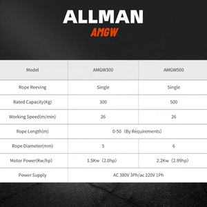 ALLMAN Vente chaude <span class=keywords><strong>Treuil</strong></span> électrique à vitesse rapide série AMGW <span class=keywords><strong>220V</strong></span> 380V pour la construction Petit grue à singe - Product Image 3