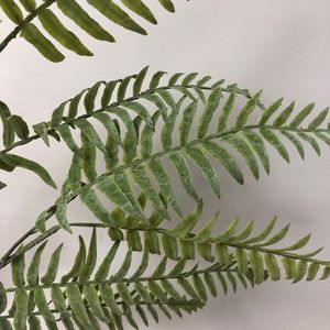 Nouvelles feuilles de <span class=keywords><strong>fougère</strong></span> de verdure artificielles ornementales pour la <span class=keywords><strong>d</strong></span>écoration <span class=keywords><strong>d</strong></span>'hôtel de mariage à la maison - Product Image 3