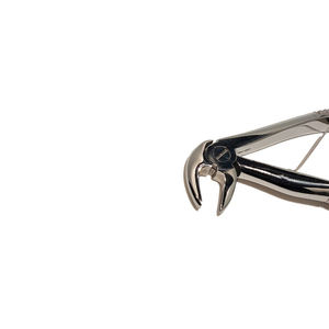 Pinzas de Extracción Manuales de Acero Inoxidable de Alta Calidad, Instrumentos Quirúrgicos Dentales Resistentes a Altas Temperaturas, OEM, Más Vendidas - Product Image 3
