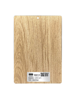 Recubrimientos <span class=keywords><strong>en</strong></span> Polvo Epoxi con Efecto <span class=keywords><strong>Madera</strong></span> <span class=keywords><strong>para</strong></span> Muebles, Barcos y Electrodomésticos - <span class=keywords><strong>Colores</strong></span> Personalizados, <span class=keywords><strong>Pintura</strong></span> <span class=keywords><strong>en</strong></span> <span class=keywords><strong>Aerosol</strong></span> Electrostática, Venta al Por Mayor <span class=keywords><strong>de</strong></span> Fábrica - Product Image 5