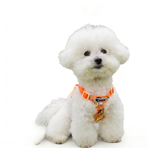 YG-8012 Rompi <span class=keywords><strong>Harness</strong></span> Hewan Peliharaan Berbahan Nilon dengan Desain Lipat di Dada dan Punggung, Bermotif Kartun Modis dan Berlapis - Product Image 6