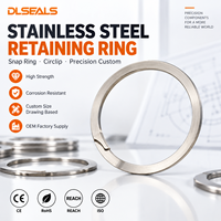 DLSEALS Stainless Steel Snap Ring Circlip Custom Non-Standard Precision for Shaft Bore Groove Industrial Assembly OEM Bulk