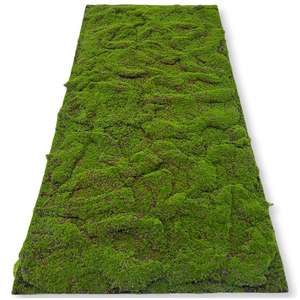 Tapis <span class=keywords><strong>d</strong></span>'herbe artificielle, <span class=keywords><strong>mini</strong></span>-plante verte, <span class=keywords><strong>d</strong></span>écoration en mousse, tapis vert hyper réaliste pour salon, herbe artificielle - Product Image 4