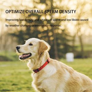 Produit vétérinaire Nutrition animale Jingliwang (suppléments pour chiens mâles) Amélioration de la qualité du sperme pour la reproduction - Product Image 3