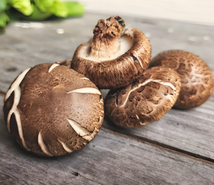 สารสกัดจากเห็ดหอมแห้งโพลีแซคคาไรด์30% เกรดอาหารออร์แกนิก - Product Image 2