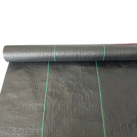 Toile de paillage tissée en PP résistante aux UV pour l'aménagement paysager et l'agriculture