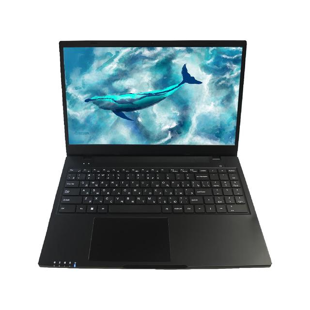 OEM Slim Portable Business Laptop 15.6" with SSD 512GB Dual Core Processor TN Panel English Keyboard