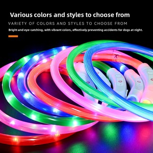 <span class=keywords><strong>Collar</strong></span> Luminoso LED Recargable para Perros y Gatos con Correa, Brilla en la Oscuridad, para Todas las Estaciones, Disponible al por Mayor - Product Image 2