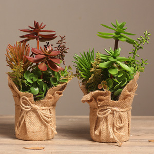 Arreglo de Plantas Suculentas Artificiales en Maceta de Yute, Paquete de Varias Piezas, Decoración de Escritorio Interior, Vegetación - Product Image 1
