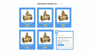 Vanne solénoïde à diaphragme COVNA 2W-F DN150 6 pouces 24V normalement fermée en acier inoxydable avec bride pour gaz et liquides - Product Image 5