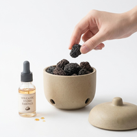 Diffuseur d'arômes en pierre de lave en céramique avec couvercle et base à trous d'aération, ensemble de pierres aromatiques pour huiles essentielles, vente en gros pour la décoration intérieure