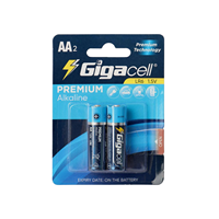 Piles alcalines de qualité supérieure 1,5 V, taille AA (Double A), à longue durée de vie, idéales pour les appareils photo, les dispositifs médicaux, les télécommandes et plus encore