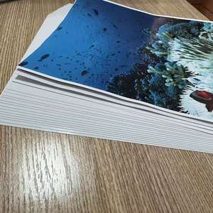 <b>Photo</b> <b>Paper</b> <b>A3</b> Heavyweight Double Sided High Glossy 50 Sheets180gsm - Product Image 5