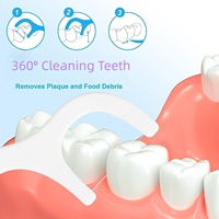 2024 nouveau design gardez vos dents propres cure-dents flossers complet avec portée outlast menthe fil dentaire cure-dents