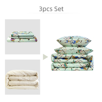 Prêt à Expédier Ensemble Combinaison à Prix Réduit Coton Impression Numérique Luxe 3pc Ensemble de Draps de Literie et Couette