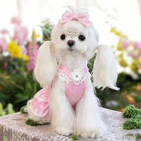 Robe de princesse de luxe en dentelle pour chien, jupe douce pour petits chiens et chats, robe de soirée respirante pour chiot, vêtements mignons pour chat