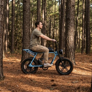 Bicicleta Eléctrica Ergonómica Vintage con Shimano de 7 Velocidades, Pedelec Premium para Exploración en Cabanas de Montaña - Product Image 5