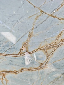 Chi nhánh vàng của gạch đá cẩm thạch Biển Đá tự nhiên thanh lịch cho các bức tường bàn cao cấp và các ứng dụng sàn - Product Image 2