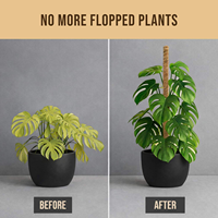 Soporte para Plantas de Fibra de Coco Ecológico, Color Marrón Natural, para Plantas Trepadoras de Jardín y Monstera