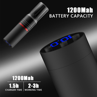 Nouvelles machines à tatouer électriques permanentes pas chères avec batterie au lithium rechargeable, kit avec boîte personnalisée