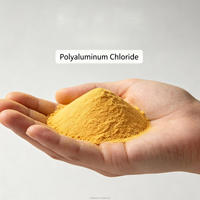 Flocculant en poudre fine PAC à performance stable pour la clarification de l'eau de circulation industrielle et le traitement auxiliaire anti-calcaire