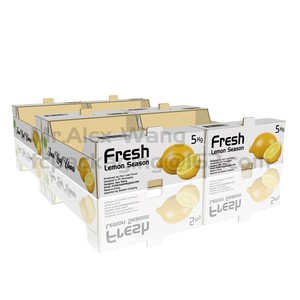 Carton ondulé pliable <span class=keywords><strong>de</strong></span> bonne qualité, personnalisé avec impression <span class=keywords><strong>de</strong></span> marque, pour fruits, légumes, citrons, conteneurs, boîte en papier <span class=keywords><strong>bon</strong></span> marché - Product Image 5