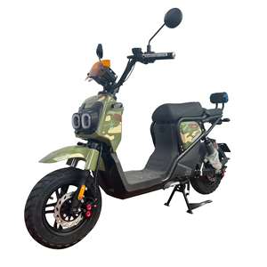 Motocicletta Elettrica Urban Attack ad Alta Velocità 80km/h, E-Moto Robusta Certificata EEC COC per Adulti - Product Image 4