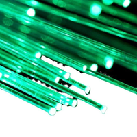 Bobina de Fibra Óptica Desnuda G652D 9/125μm SM, Rollo de 50.4km, Núcleo YOFC, Baja Atenuación 0.22dB/Km, Cable para Redes de Telecomunicaciones FTTH, Interior y Exterior