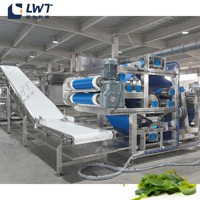 Machine multifonctionnelle LWT pour le traitement des légumes et des fruits, friteuse, pasteurisateur, équipement automatique à haute efficacité pour les algues Wakame