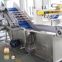 Ligne de production automatique complète d'ail comprenant des machines de nettoyage, de brisage, de pelage, de tri et de transformation de l'ail