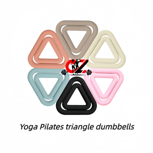 CZFIT Power Training Skin-friendly Portable Silicon Iron Custom Logo Home Gym Pilates Fitness Triangle <b>Dumbbells</b> - Product Image 1