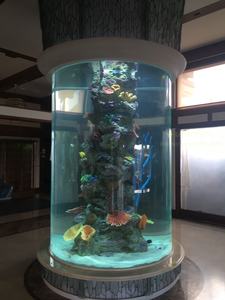 Grand <span class=keywords><strong>aquarium</strong></span> <span class=keywords><strong>Aquarium</strong></span> Grands aquariums à vendre - Product Image 6