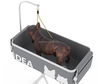 Baignoire et table de toilettage pour animaux de compagnie 2 en 1