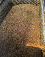 Aliments pour tortues, oiseaux et poissons à haute teneur en protéines, vers de farine séchés, friandises énergétiques pour suiveurs de sucre, biodégradables, export en vrac