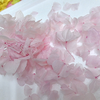 Pétales de rose véritable préservés de haute qualité, couleur blanc rose, éternels pour mariage, Saint-Valentin, remise de diplôme, Nouvel An, Noël