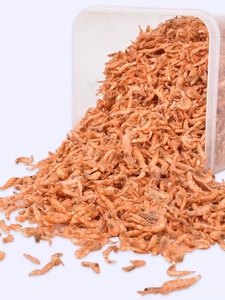 <span class=keywords><strong>Crevettes</strong></span> rouges lyophilisées en conserve pour poisson et tortue - Product Image 2