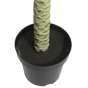 Экологичные искусственные пальмы из пластика для декора сада, водостойкие, долговечные, ручной работы, напрямую с китайской фабрики - Product Image 6