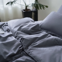 Ensemble de literie 4 pièces en coton satiné 200TC, luxe moderne, plissé, uni, taille King, durable