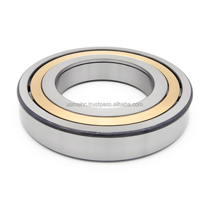 Rodamiento de Rodillos Cilíndricos de Una Hilera USMA NUP219 NUP219E 219M, Larga Duración, P4 P5, Alta Calidad - Product Image 4