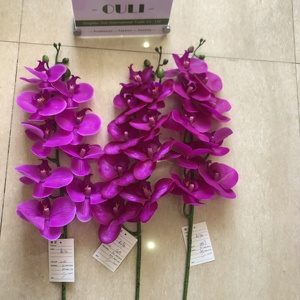 K-0016 Usine En Gros <span class=keywords><strong>Livraison</strong></span> Rapide 3D Real Touch Artificielle 9-Tête Phalaenopsis Orchidée Fleur Pour La Décoration De La Maison De Mariage - Product Image 3