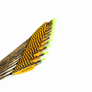 Tir à l'<span class=keywords><strong>arc</strong></span> en plein air <span class=keywords><strong>arc</strong></span> recourbé <span class=keywords><strong>arc</strong></span> Camouflage flèches en Fiber de carbone pour la chasse et le tir - Product Image 2