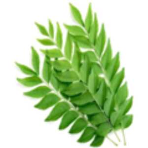 Poudre de thé vert fabriquée à partir de vraies feuilles de thé et parfois de saveurs naturelles, offrant des flavonoïdes, des catechines ou des ingrédients artificiels - Product Image 2