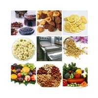 Tunnel de stérilisation à micro-ondes à grande vitesse pour la transformation des aliments, système d'équipement de pasteurisation industrielle continue