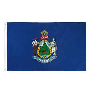 Bandiera Nazionale delle Isole delle Marianne del Nord 3x5 Ft, Stampa Digitale Anti-Piega in Poliestere per Esterni - Product Image 2