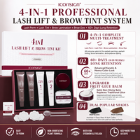 Kit professionnel OEM 4-en-1 pour rehaussement de cils et teinture de sourcils, noir ou café, avec révélateur, lotions liftantes, tampons et outils