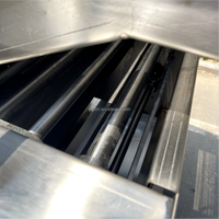 Volledig automatische continue friteuse voor de productielijn van frites, chips, kip, vis, gehaktballen, pinda's en aardappelproducten.