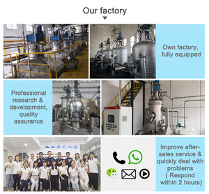 Multi-Function Nutsche Filter Combines Filtration Washing and Drying in One Unit - Product Image 6